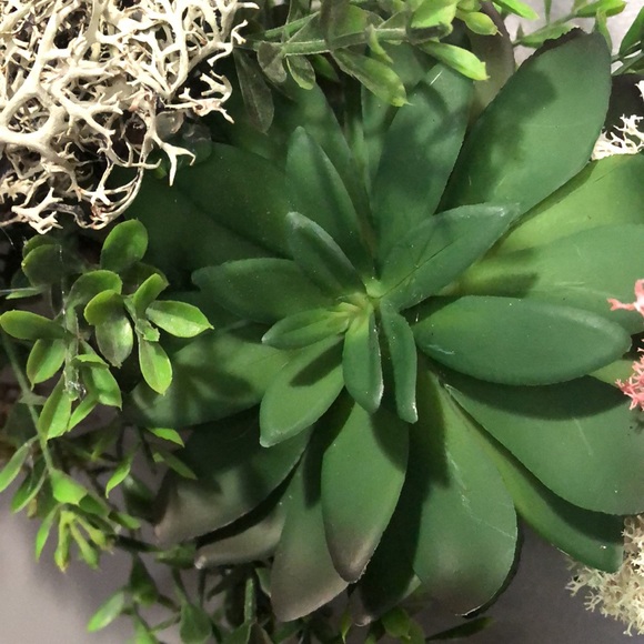 NEW Spring grapevine wreath succulent moss bird mushroom 🍄 cottage core - Picture 13 of 17